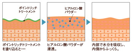 肌内部の水分を吸収し、内側からぷっくり。