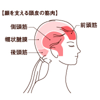 血行不良の肌断面図