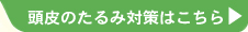 頭皮のたるみ対策はこちえら